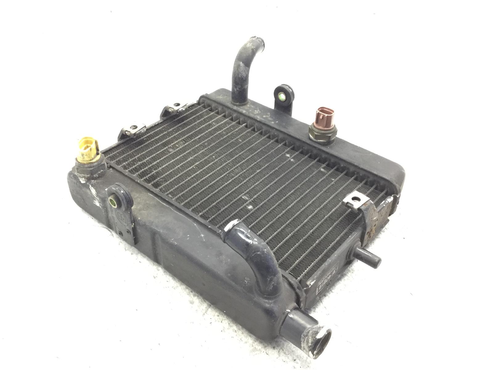 Yamaha majesty yp 250 radiatore acqua liquido raffreddamento motore 2000 2001 sg041