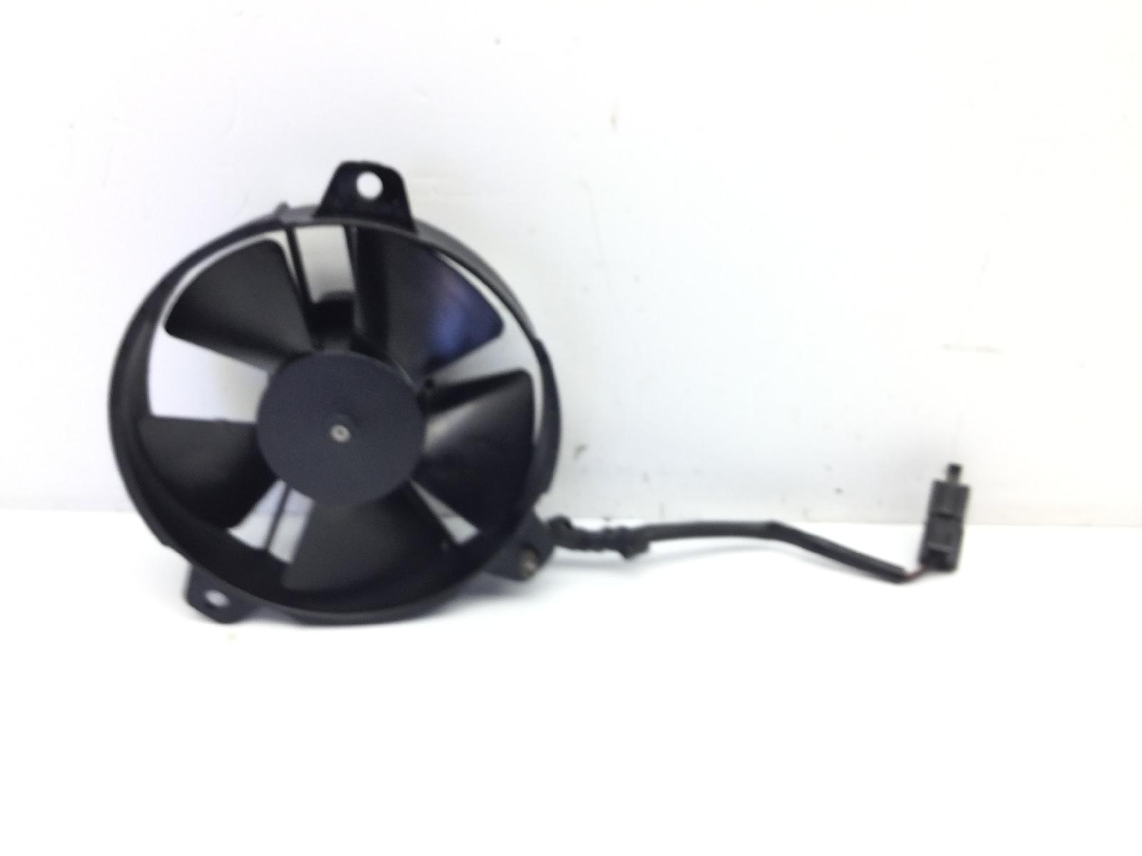 Malaguti password 250 elettroventola radiatore 2005 2006 760102