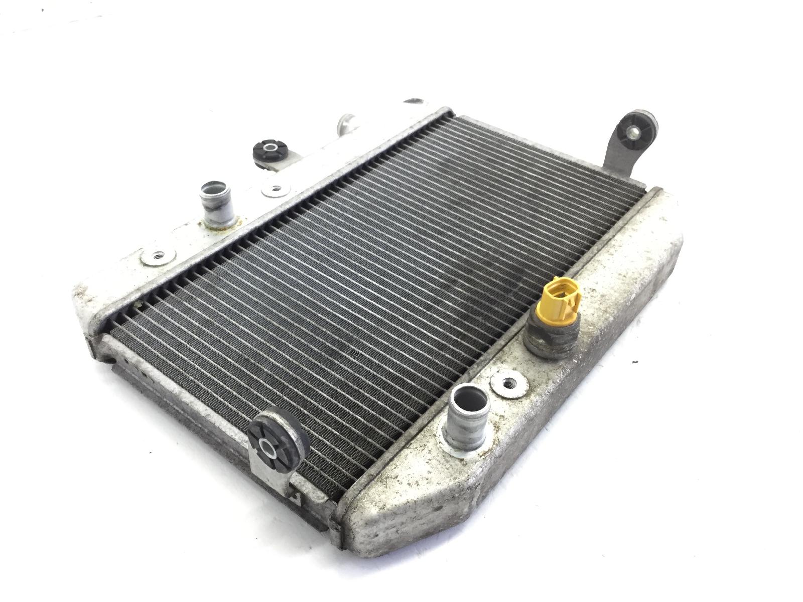 Suzuki burgman an 400 radiatore liquido acqua raffreddamento motore e bulbo 2007 2007