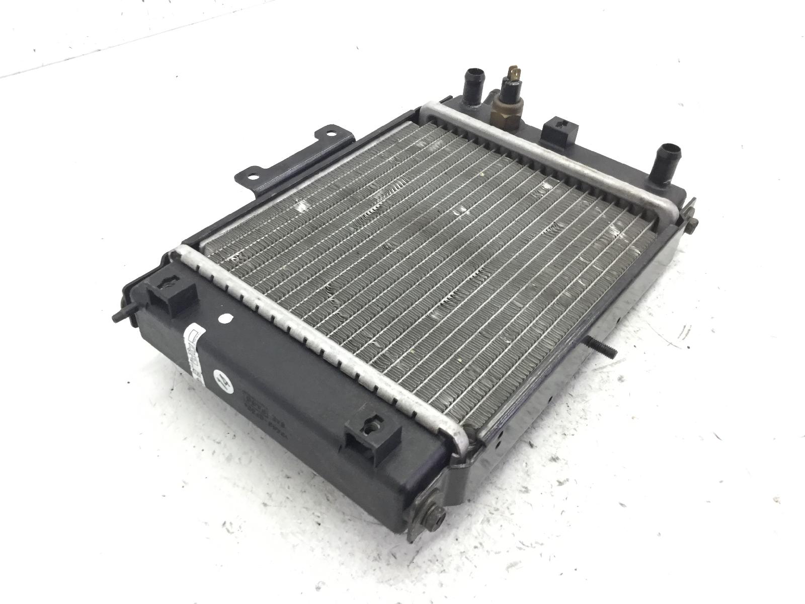 Kymco grand dink 250 radiatore acqua liquido raffreddamento e bulbo 2003 2004 s41011