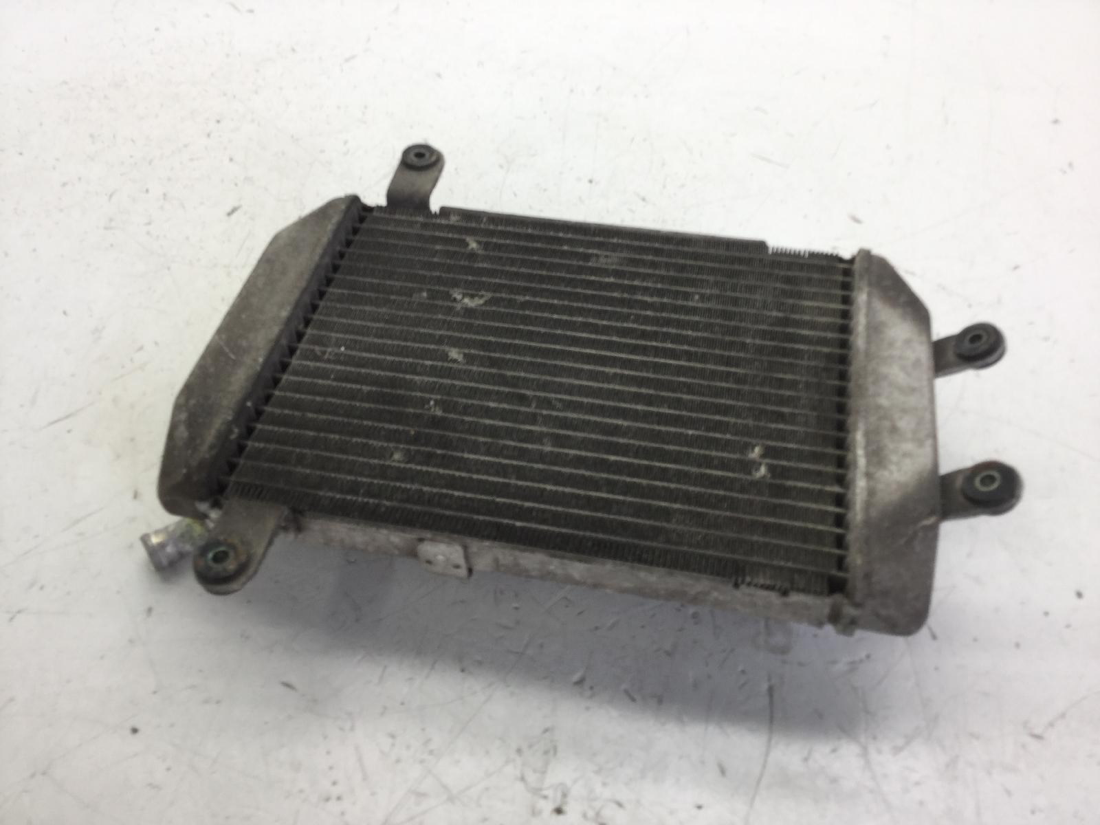 Suzuki burgman an 250 radiatore 2001 2002 an111