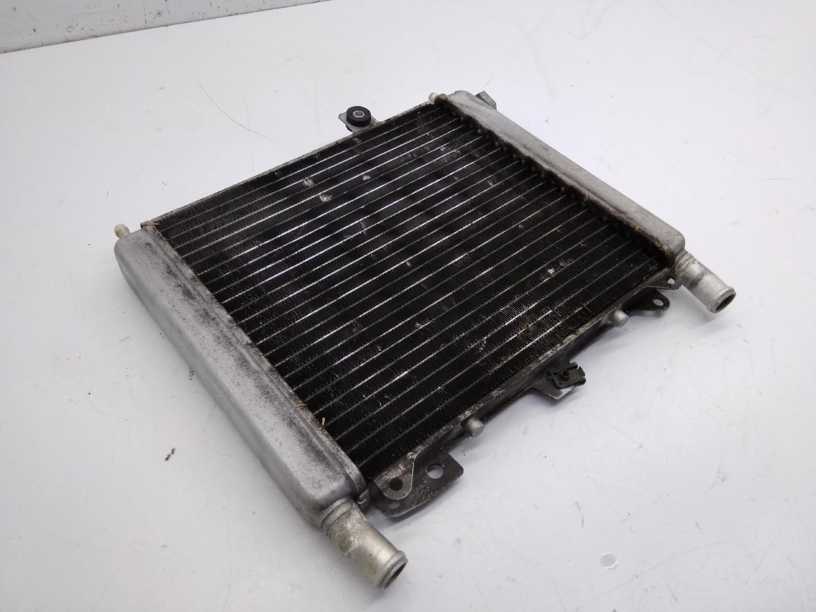 Aprilia scarabeo light 250 radiatore 2006 2008 vrb00