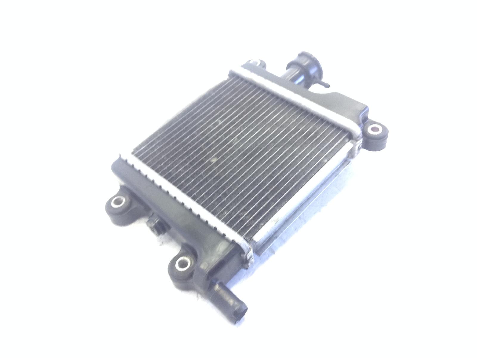 Radiatore acqua liquido reffreddamento motore yamaha xenter hw 150 2012 2016 sg231