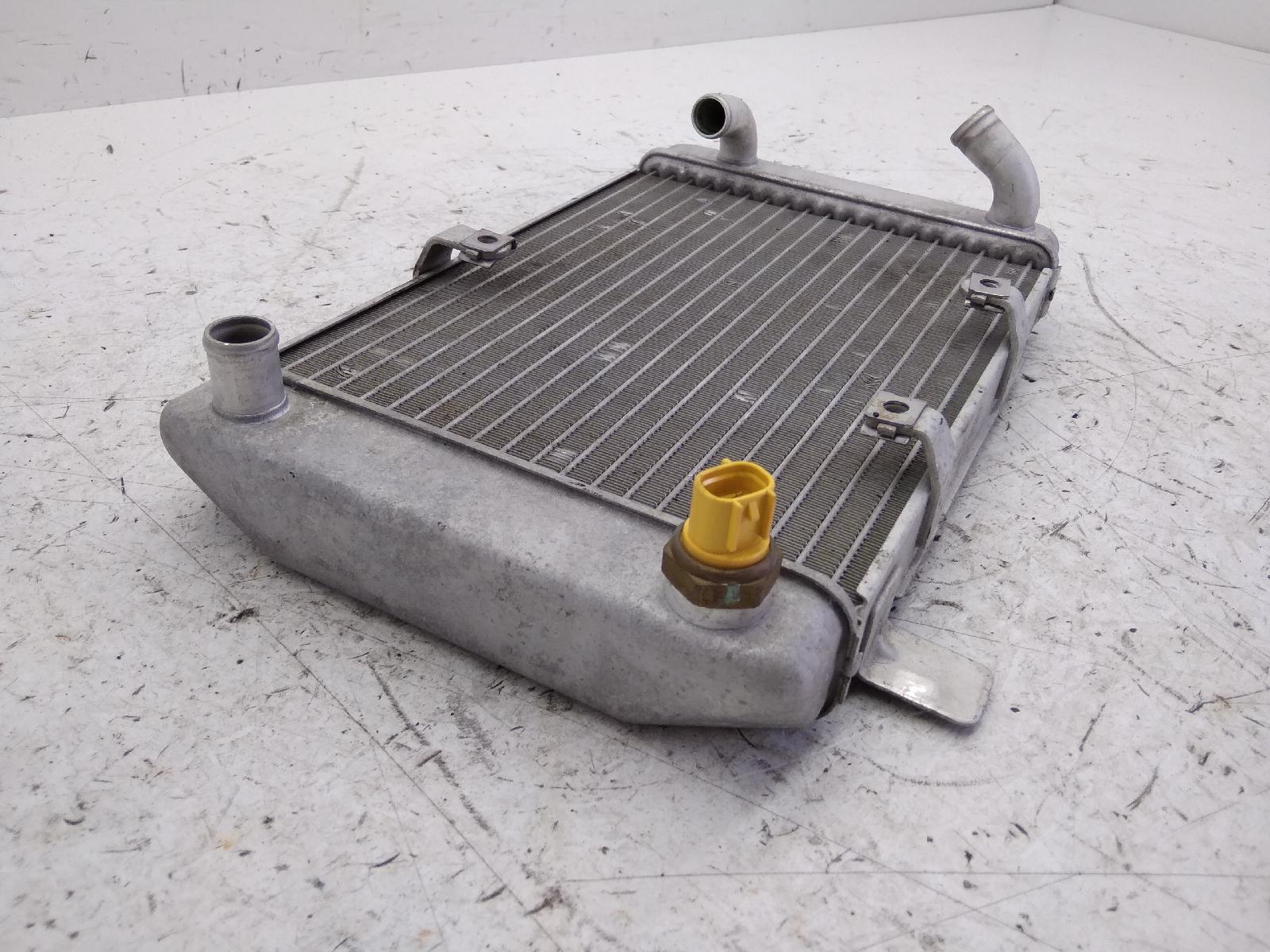 Suzuki burgman type s an 400 radiatore 2005 2005 bw112