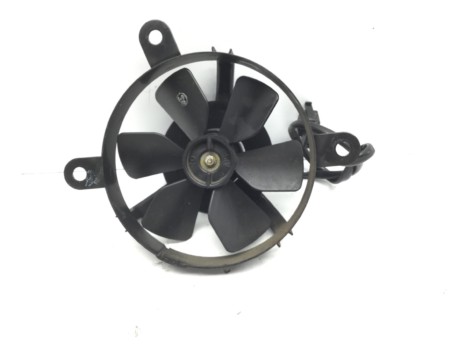 Suzuki epicuro 125 elettroventola radiatore 1999 1999 ax111