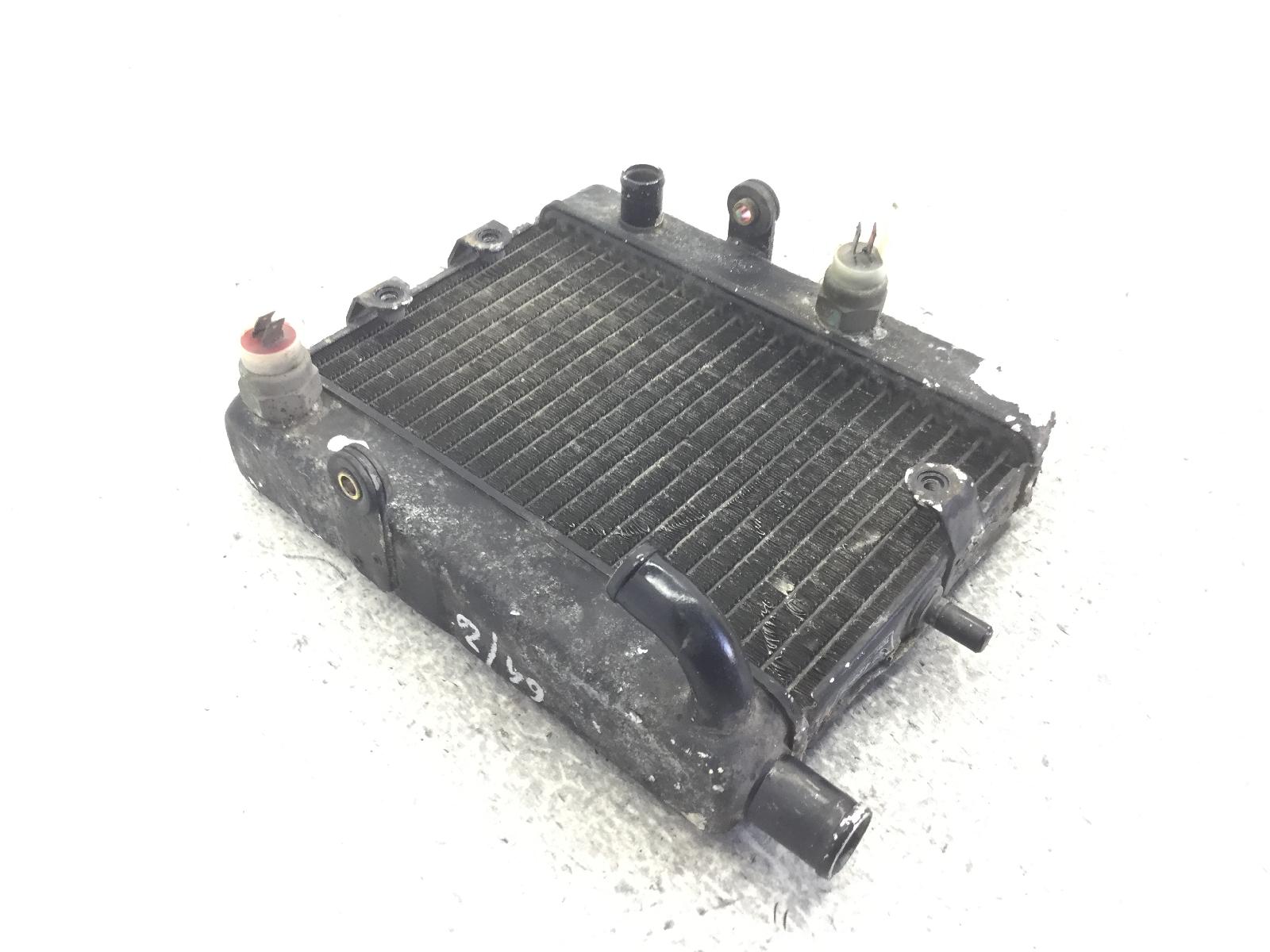 Yamaha majesty dx yp 250 radiatore acqua liquido raffreddamento motore 1999 1999 sg021