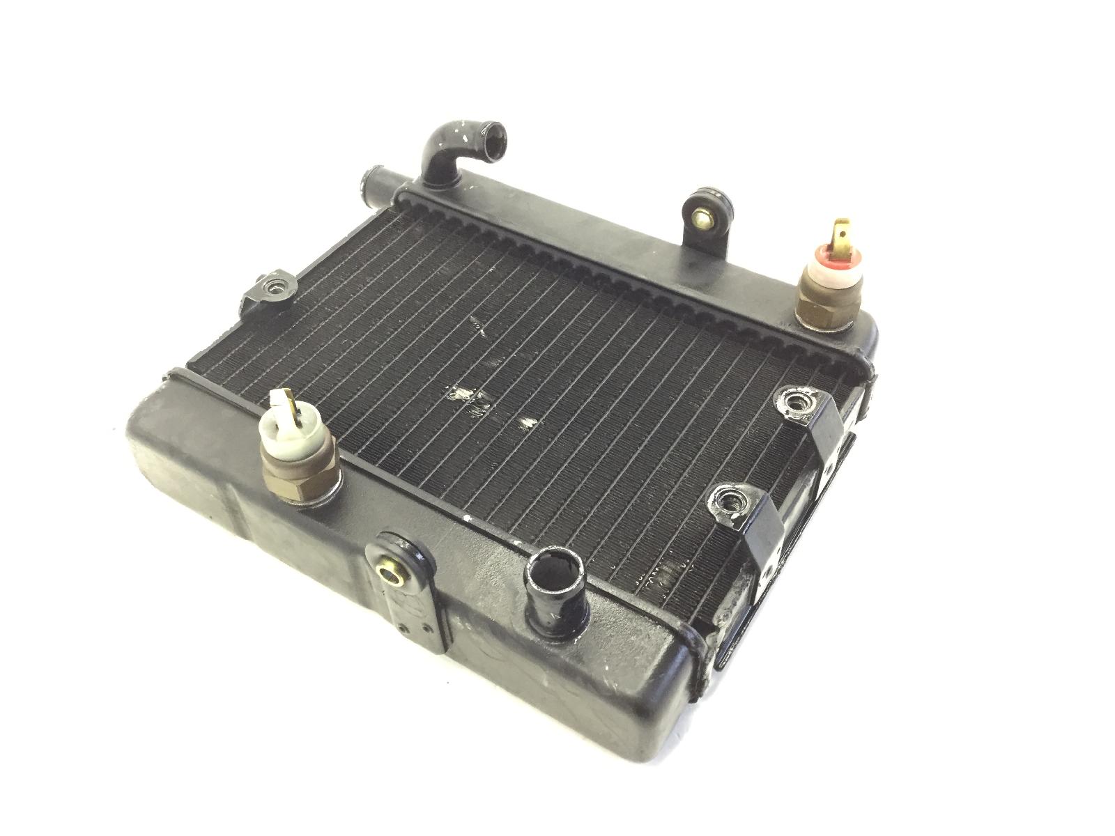 Yamaha majesty dx yp 250 radiatore liquido acqua raffreddamento motore 1999 1999