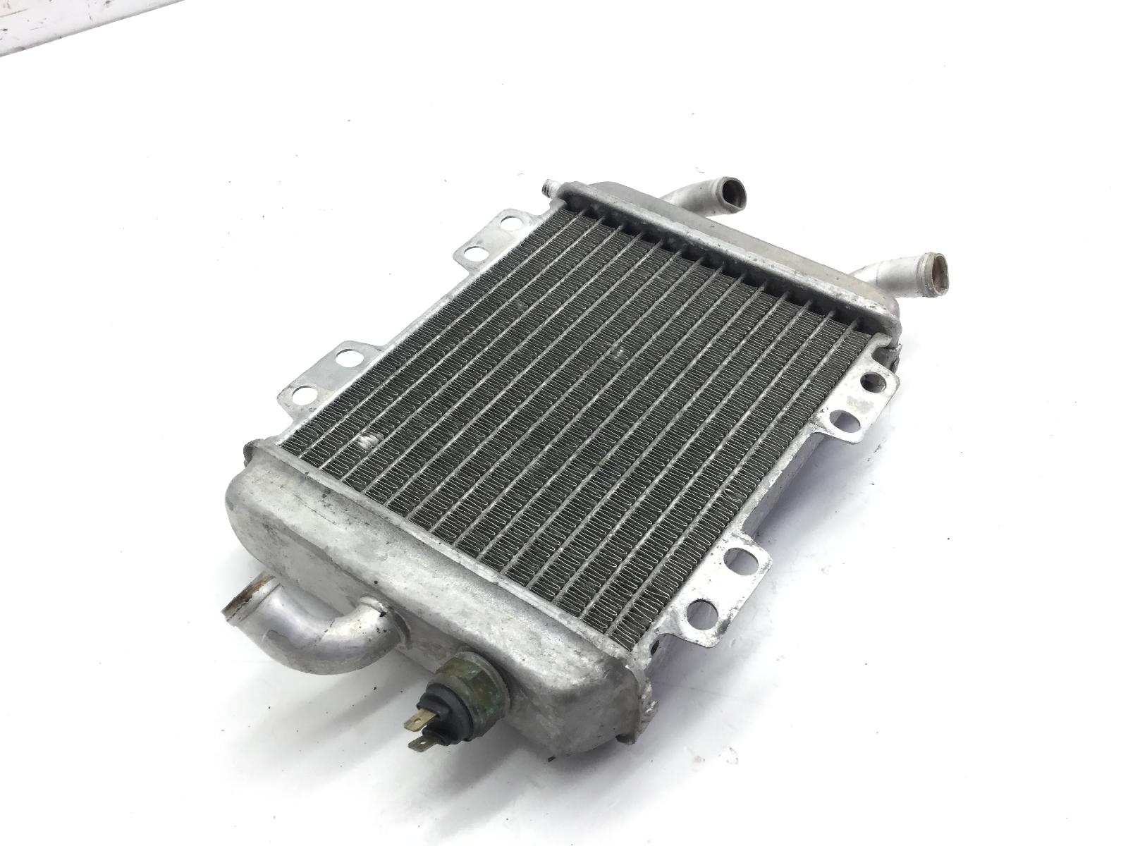 Peugeot elyseo 125 radiatore acqua liquido raffreddamento motore 2000 2002 vgag2ab