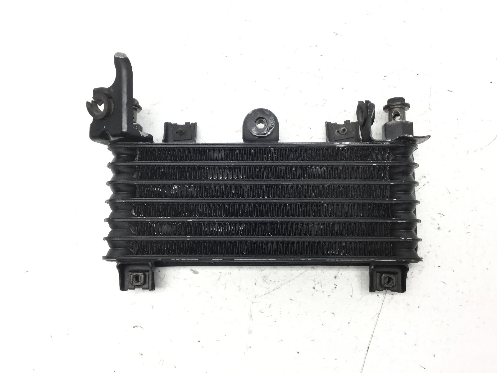 Kawasaki zzr e1 e3 600 radiatore olio con griglia protezione 1993 1995 zx600e
