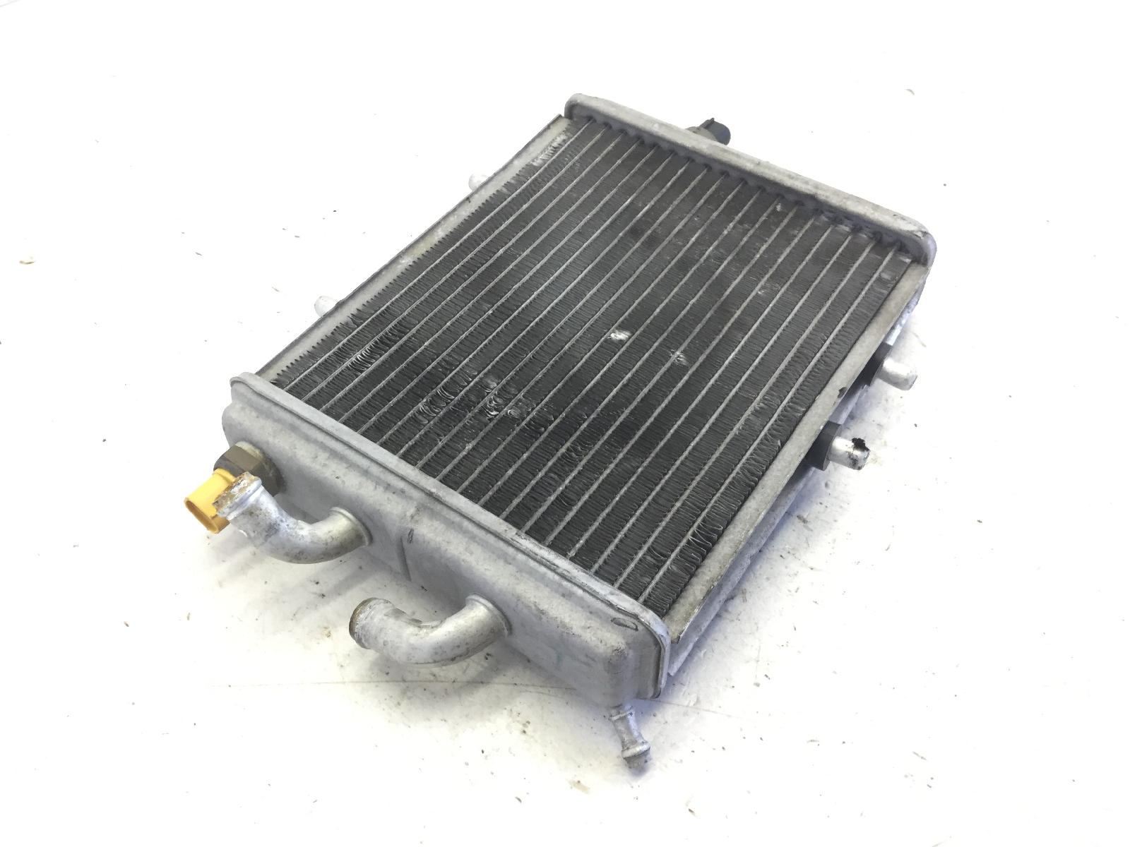Aprilia leonardo 250 radiatore leggermente deformato 2001 2001