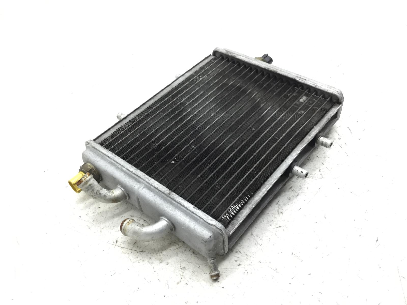 Aprilia leonardo 250 radiatore acqua liquido raffreddamento motore e bulbi 2002 2004