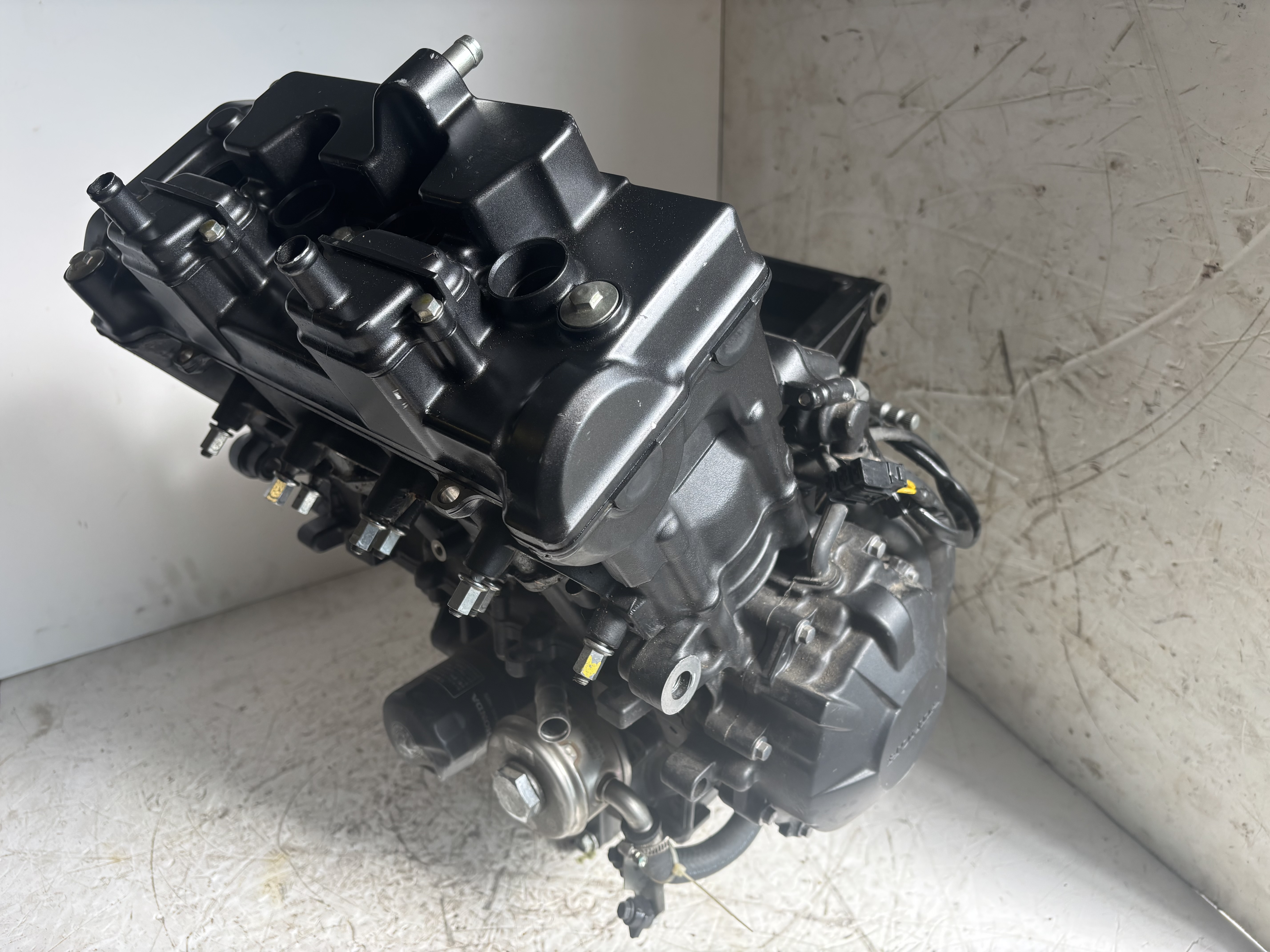 Honda hornet 600 blocco motore mod: pc41e 2009 2009 zdcp41a09f