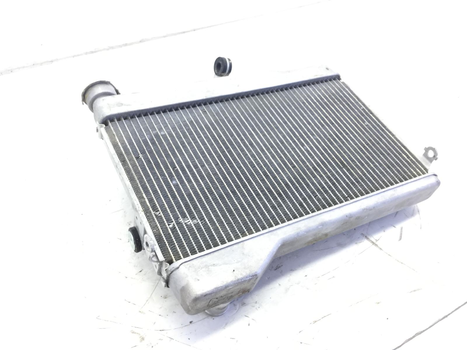 Yamaha tenere' xtz 690 700 radiatore acqua liquido raffreddamento motore 2019 2019 dm071