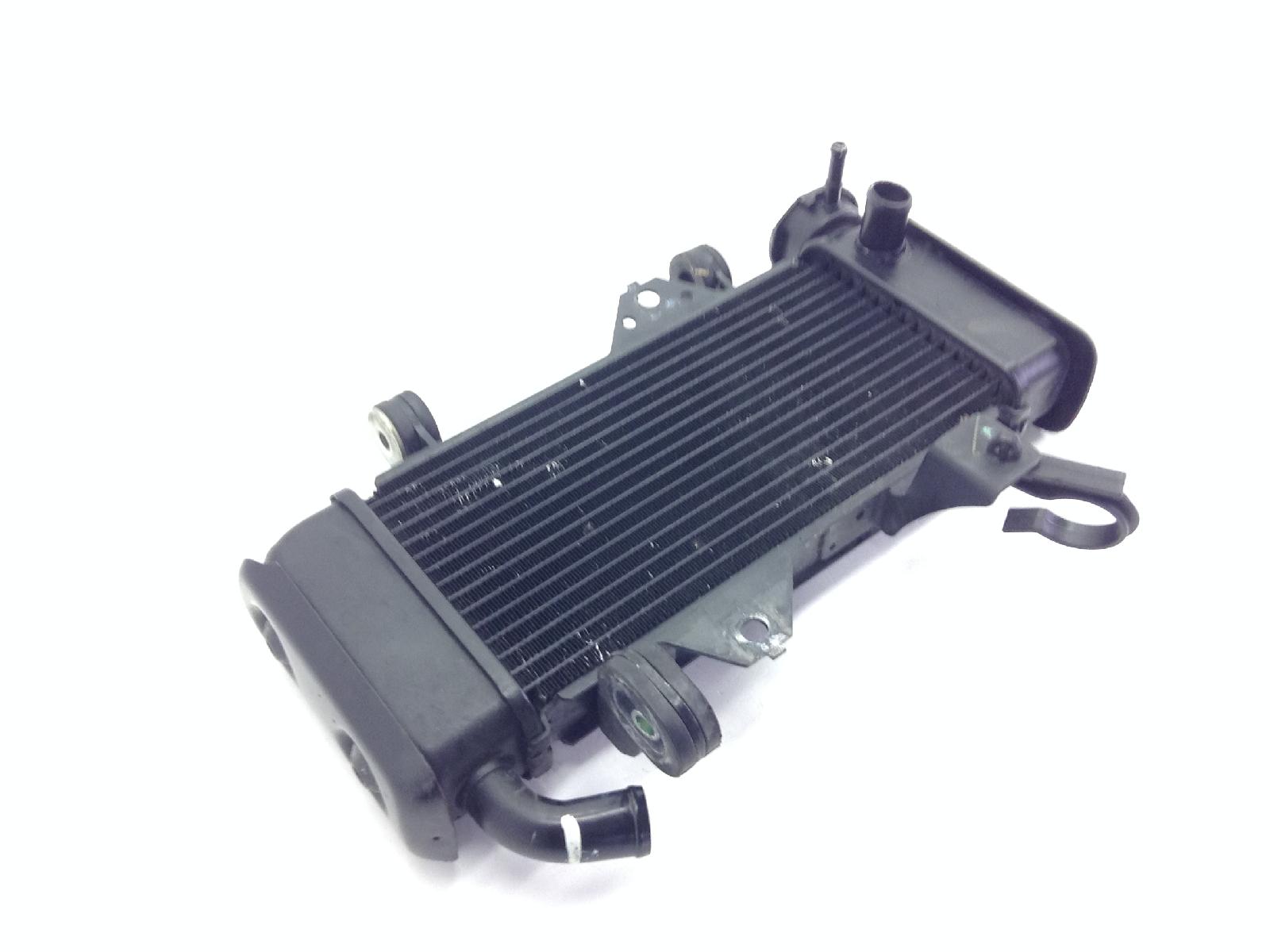 Yamaha xsr 125 radiatore acqua liquido raffreddamento motore 2021 2021 re441