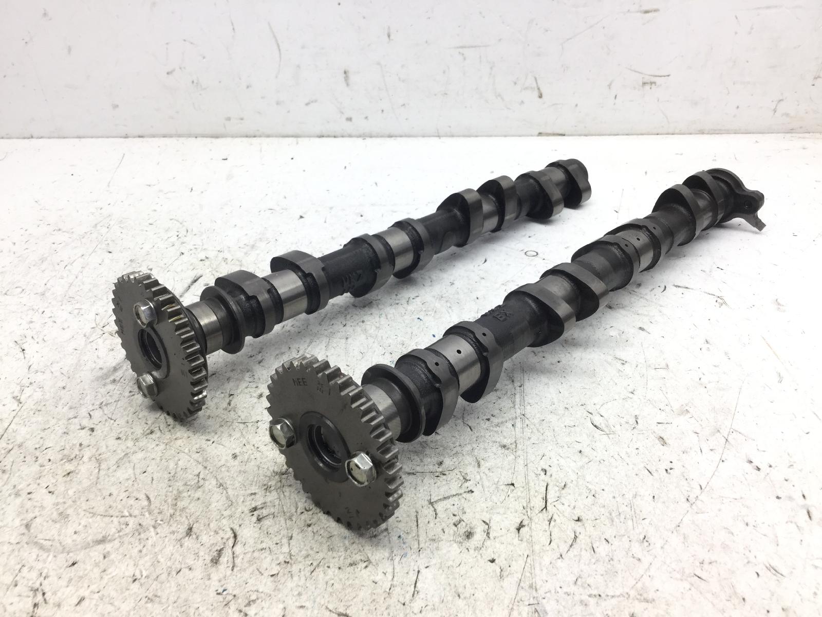 Honda cbr rr abs km0 600 coppia alberi a camme testa 2024 2026 pc69a4rk