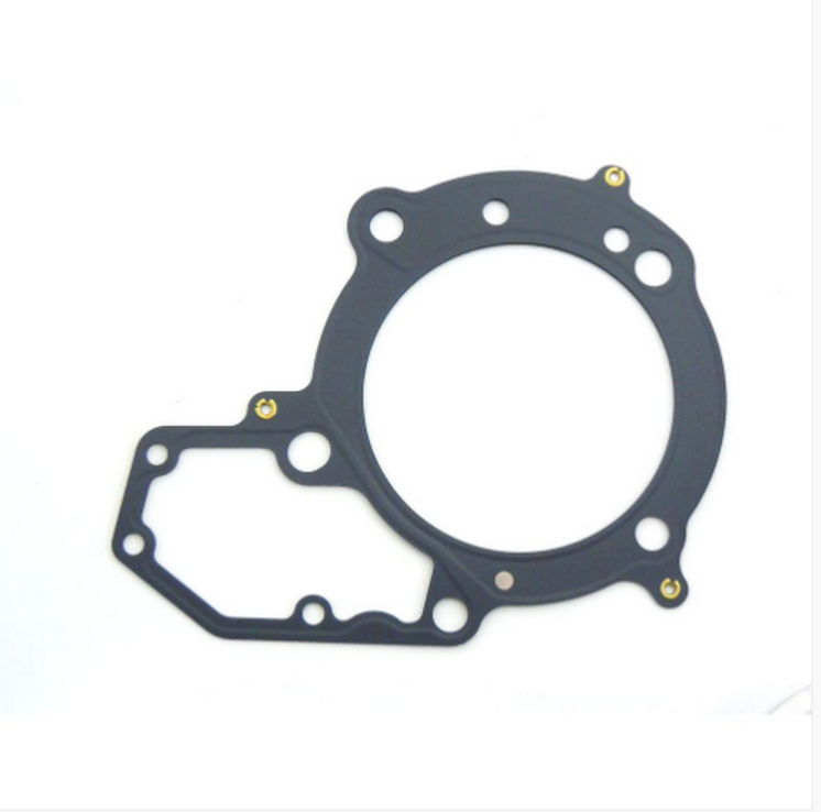 Bmw motorrad r gs 1150 guarnizione testa cilindro 1998 2002