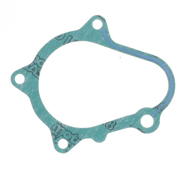 Yamaha yfm r raptor 660 guarnizione lato generatore 2001 2004