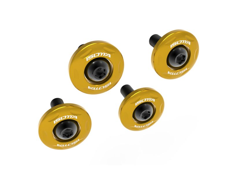 Kit boccole testa cilindro per moto guzzi v100 mandello s/stelvio 2024