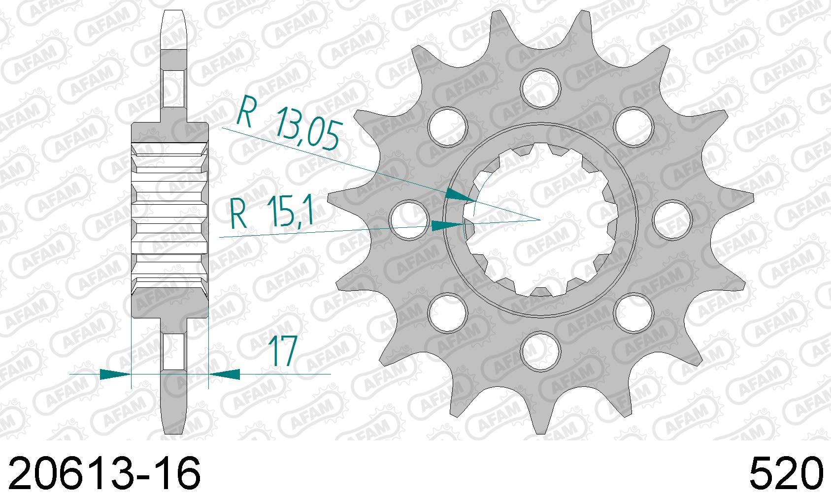 Honda cb 600 f hornet 600 pignone afam 20613-16 passo 520 2007 2013