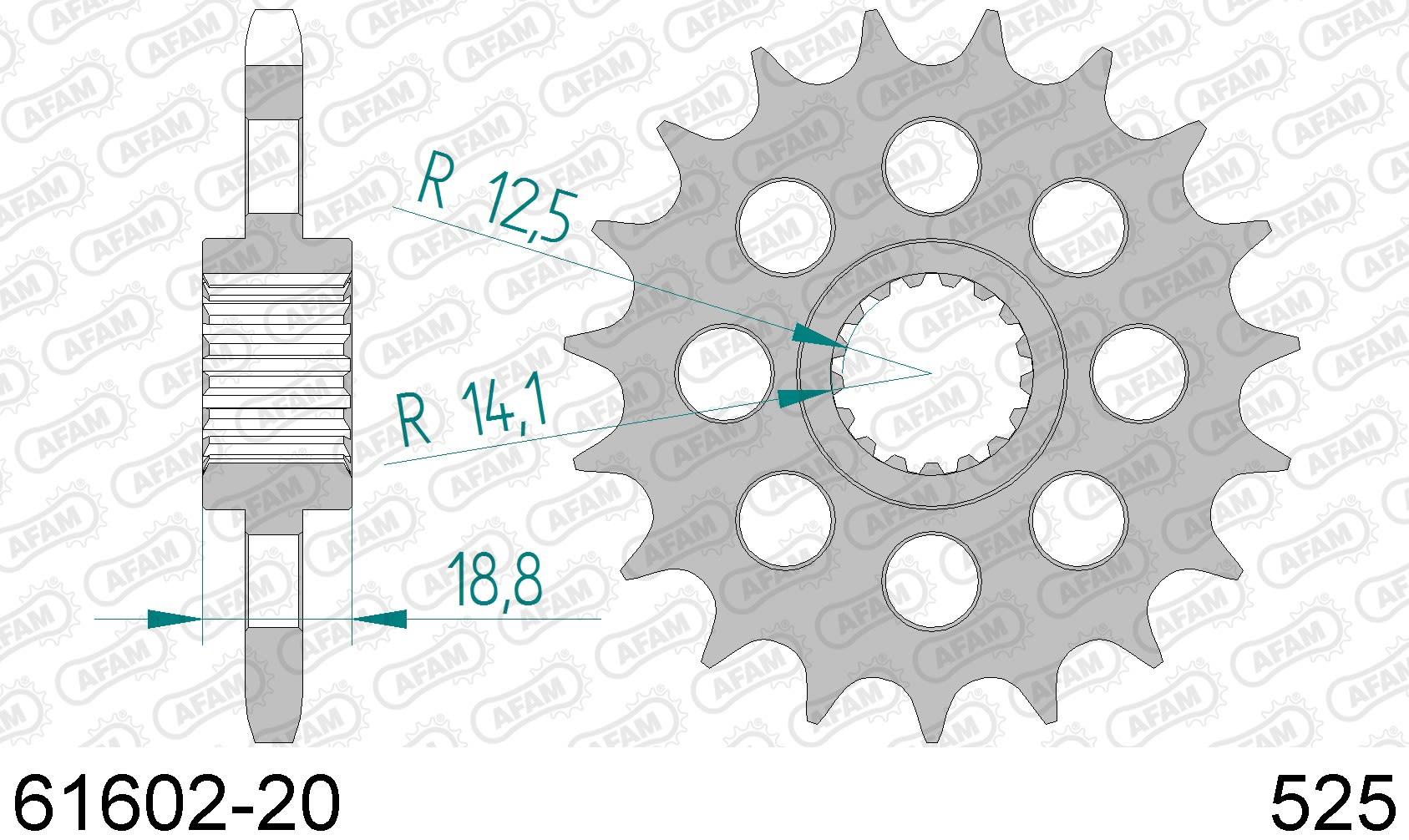 Bmw f 800 r 800 pignone afam 61602-20 passo 525 2005 2014