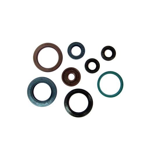Ktm exc 250 f 4t 250 paraoli motore centauro 2006 2013