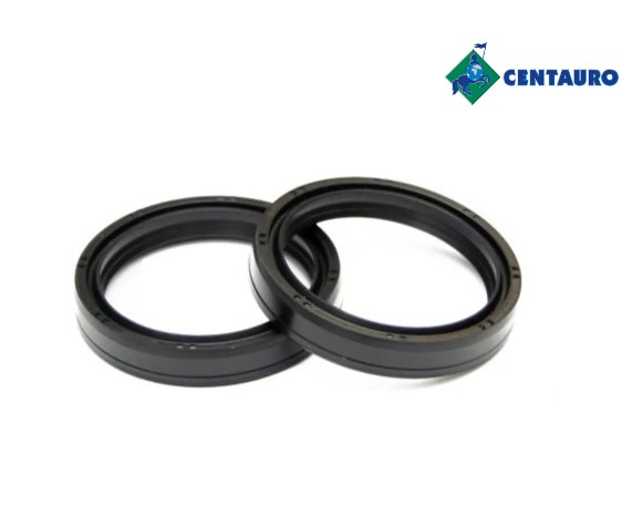 Aprilia etv capo nord rally 1000 coppia paraoli forcella centauro 2001 2003