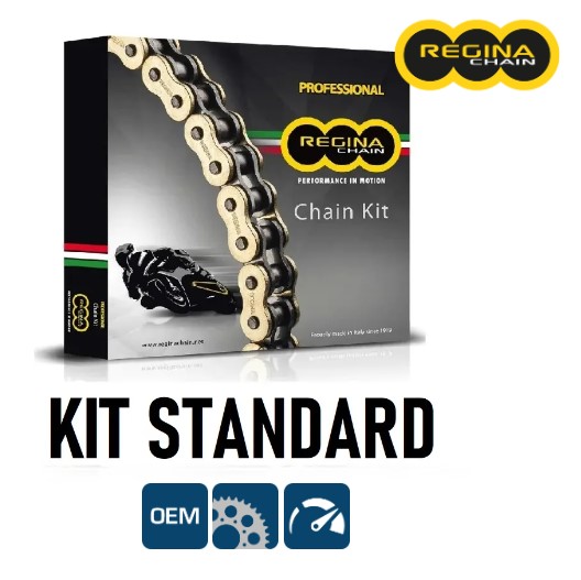 Aprilia dorsoduro abs 1200 regina kit catena corona pignone 2011 2014