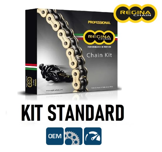 Ducati multistrada 950 regina kit catena corona pignone 2017 2018