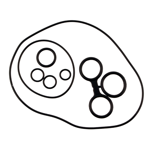 Piaggio cosa 2 125 kit o-rings rms 1991 1997 vnr2 vlr2 vsr1