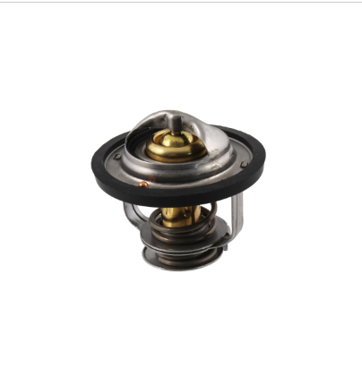 Piaggio porter 1000 1300 pick van 1300 termostato rms per 1992 2009 s85