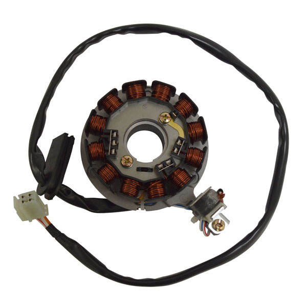 Betamotor rr enduro am6 k/s e2 50 statore 12 poli 2007 2007