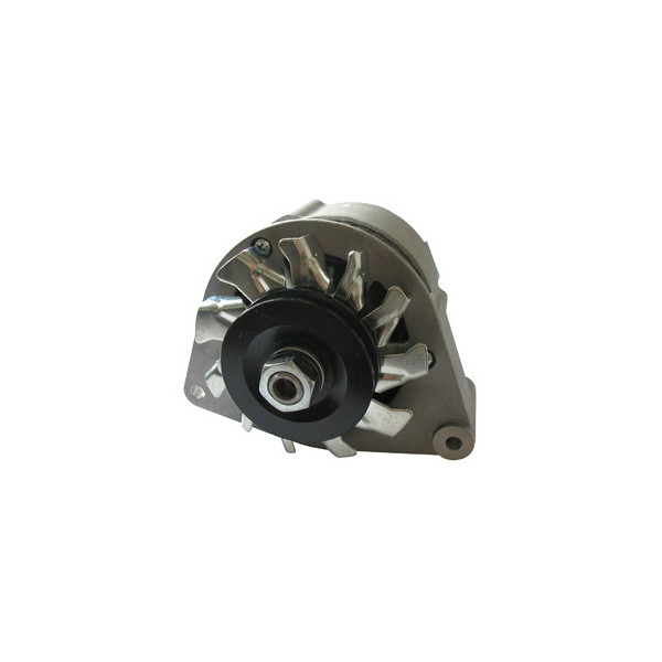 Agritalia agricolo alternatore generatore 12v 33a n n