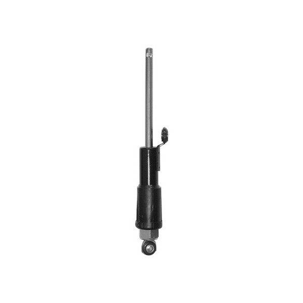 Aprilia scarabeo light 400 ammortizzatore sterzo 2006 2008