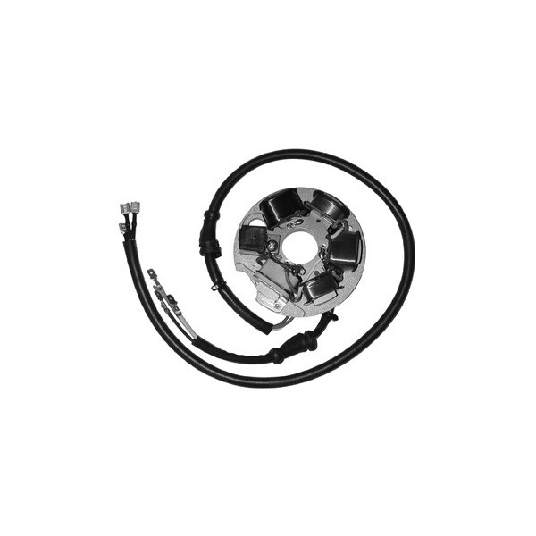 Piaggio vespa et3 (vmb1t) 125 statore ducati energia 1976 1983